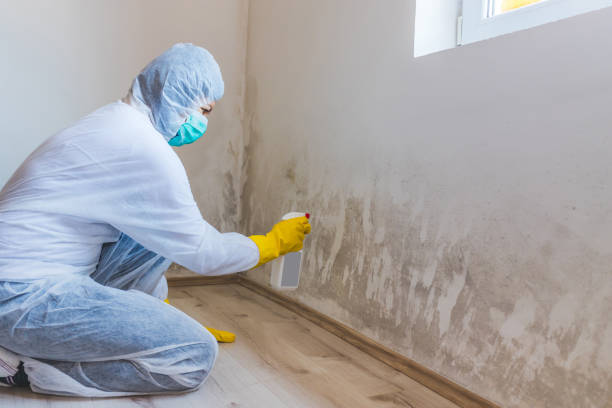Licensed Mold Remediation service in Crozet, VA - 24 Hour Mold Removal