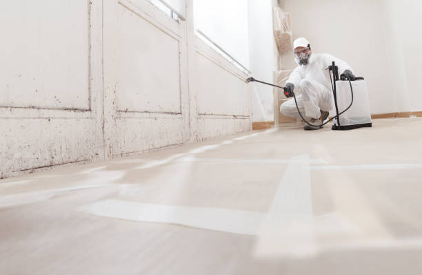 24/7 Emergency Mold Remediation experts in Crozet, VA