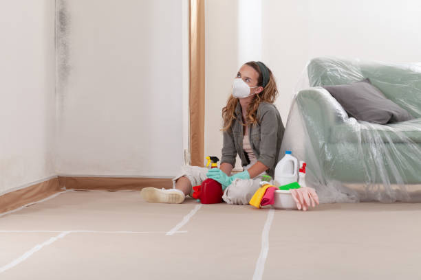 Reliable Mold Remediation contractor in Crozet, VA by 24 Hour Mold Removal