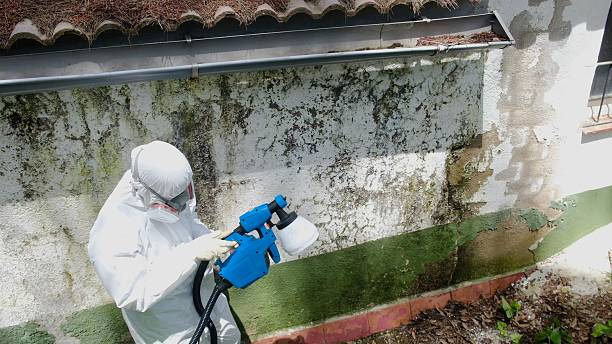 Top rated local Mold Remediation specialists in Crozet, VA